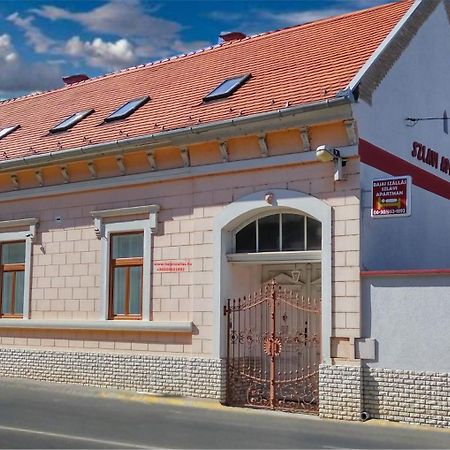Szlavi Apartman Baja Buitenkant foto